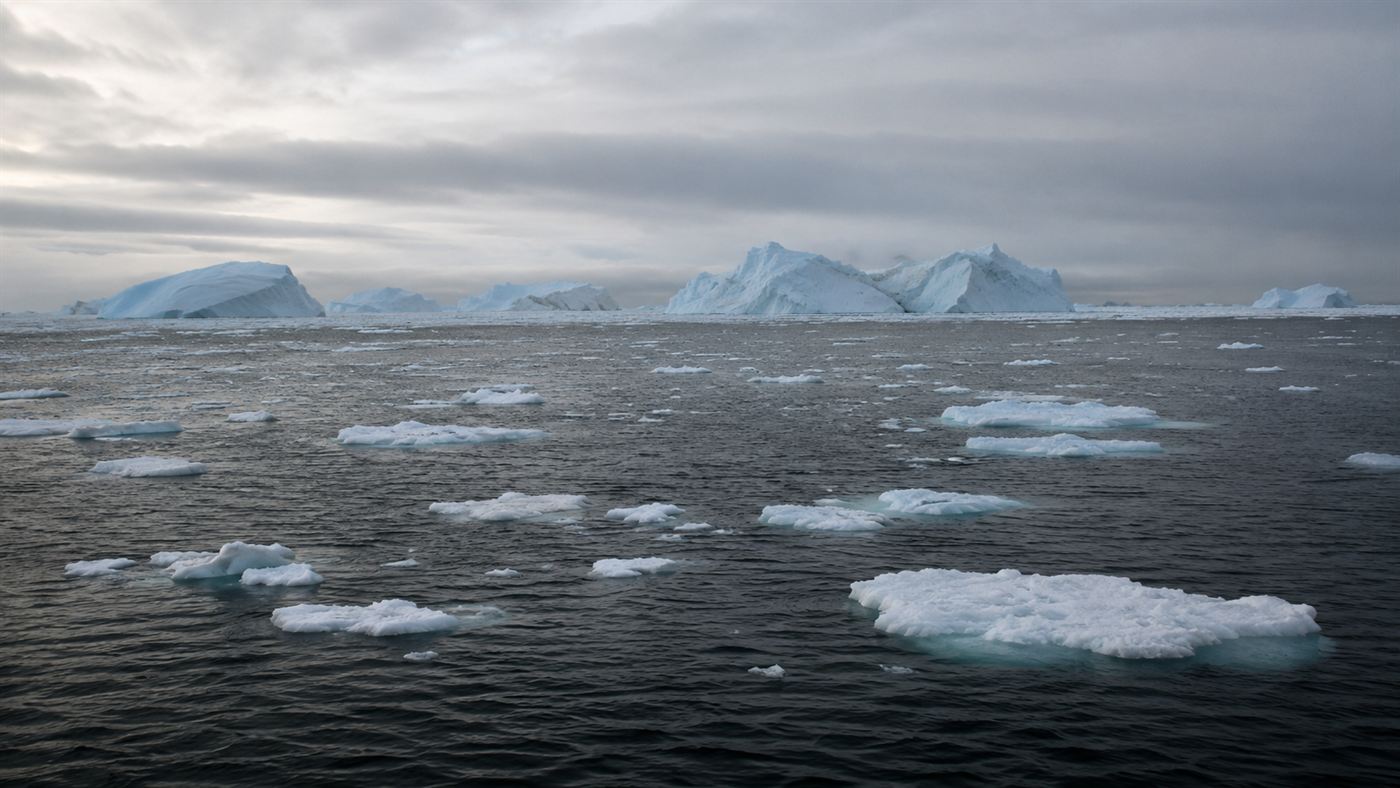 A bleak Arctic seascape of dark cold water and drifting sea ice under a pale grey sky