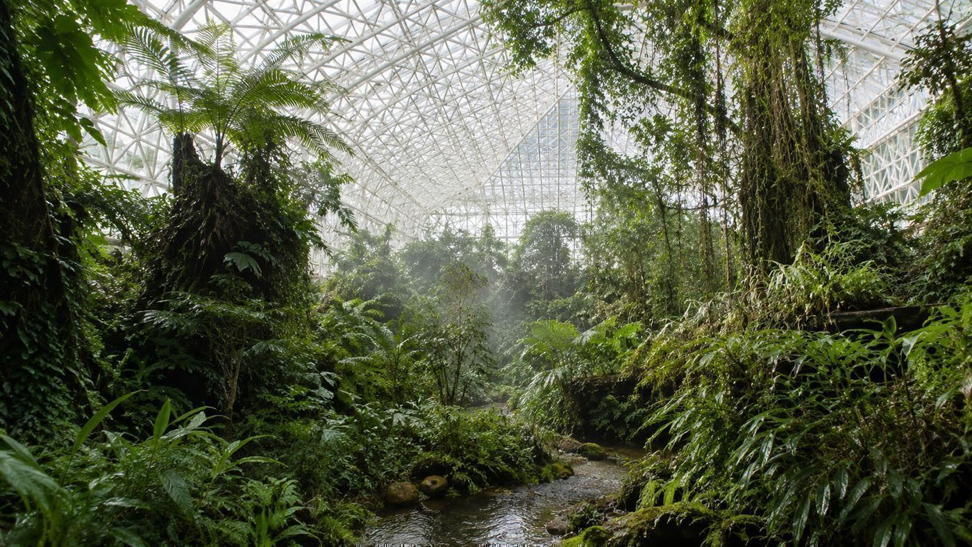The lush green interior of a rainforest growing inside a huge glass greenhouse, dense tropical plants and trees under a geometric steel and glass roof