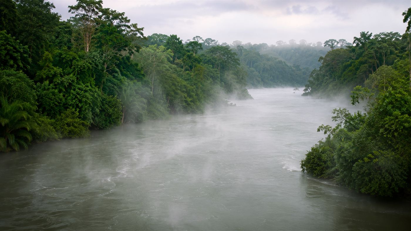 A wide river steaming heavily as it winds through dense green Amazon rainforest