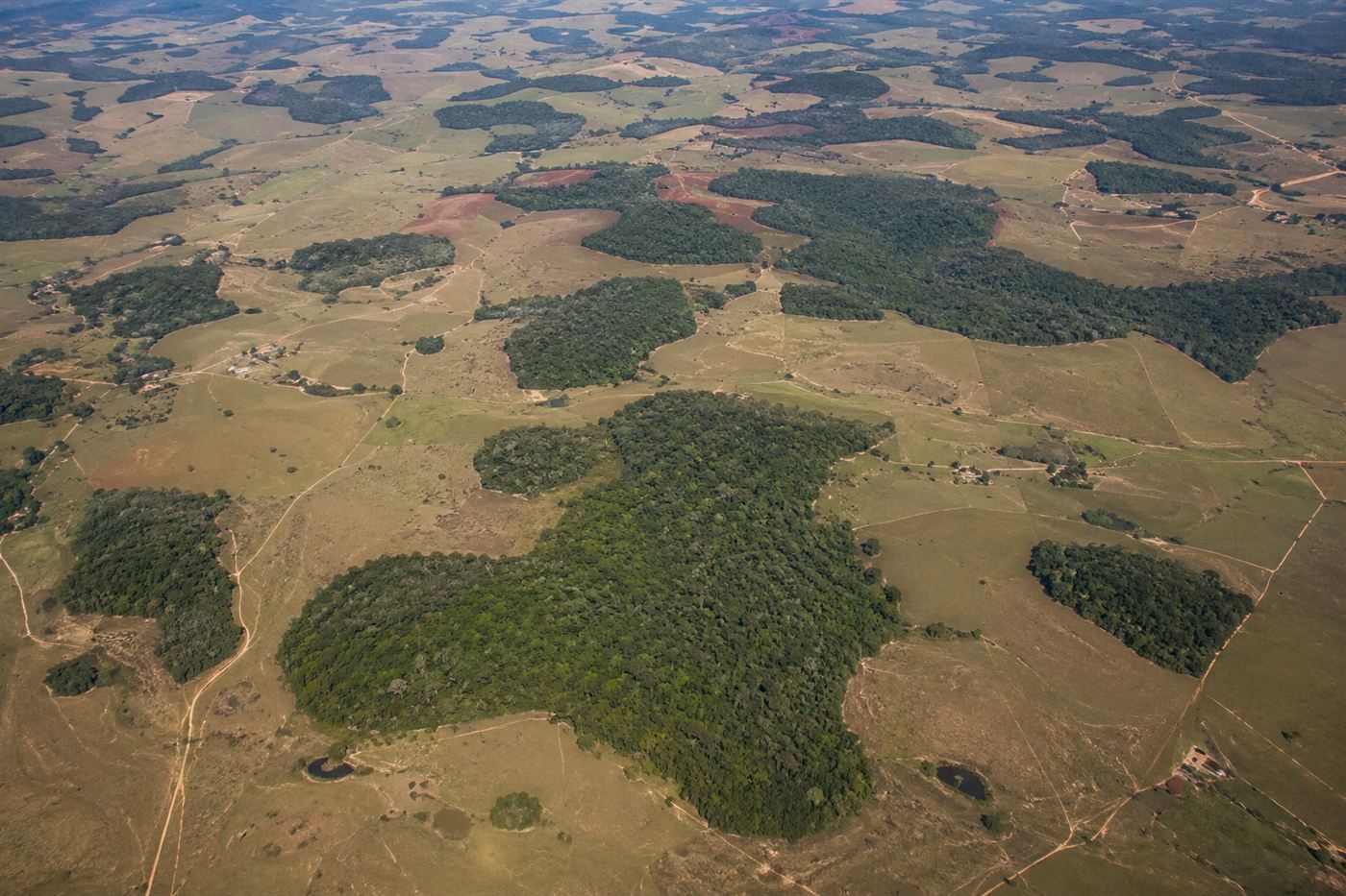 Fragmented Atlantic Forest of Brazil seen from above, small green patches of tropical rainforest surrounded by pasture and farmland, Rio de Janeiro state landscape showing severe deforestation