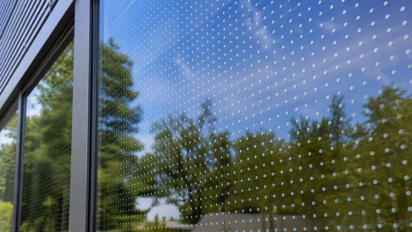 A building glass window covered in an evenly spaced grid of small white dots, bird-safe patterned film reflecting sky and trees