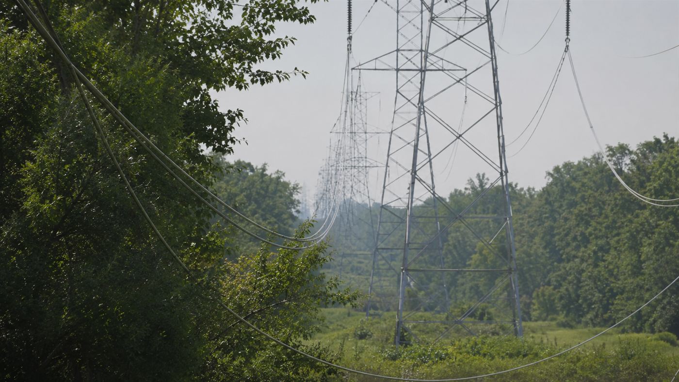 A high-voltage transmission line sagging into the tops of overgrown trees on a hot summer day