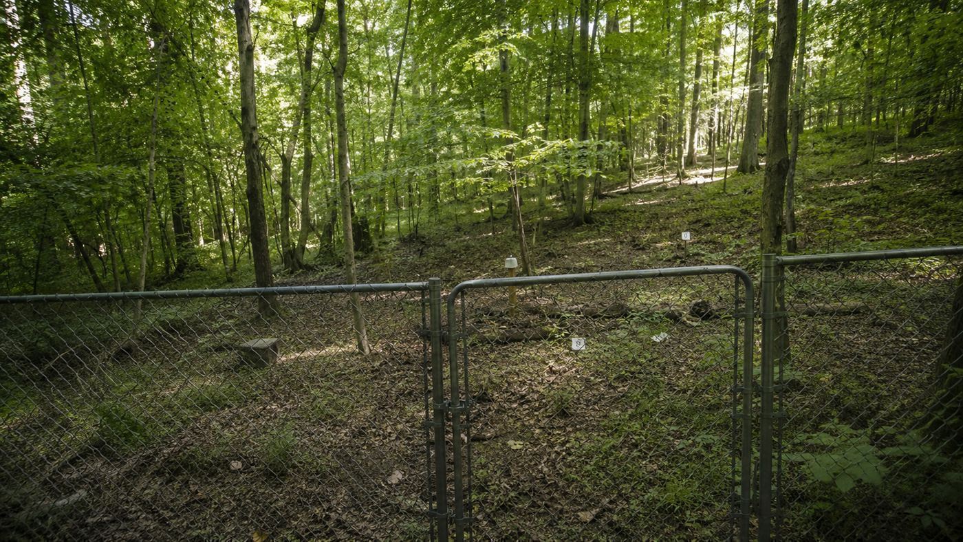 A fenced wooded research plot with numbered markers and a locked gate, the kind of outdoor forensic site known as a body farm