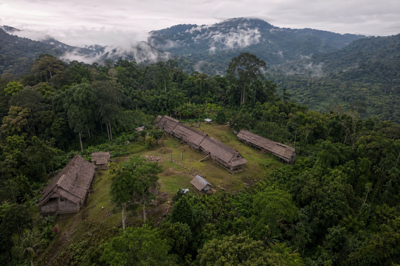 Borneo tropical rainforest with traditional Dayak village settlement, thatched roof longhouses in jungle clearing, dense green canopy, misty highland landscape