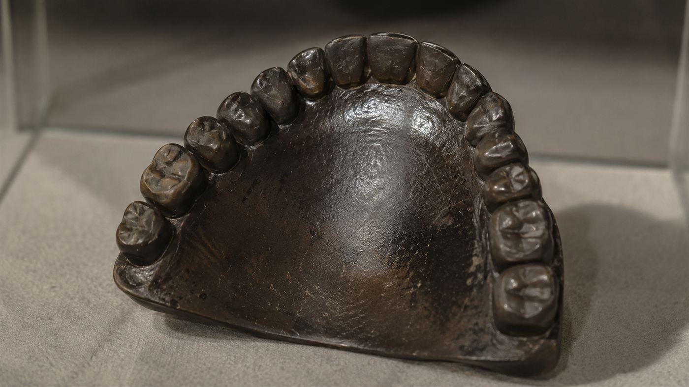 A close-up of a dark vulcanised rubber dental prosthesis from the 1890s displayed on a plain surface