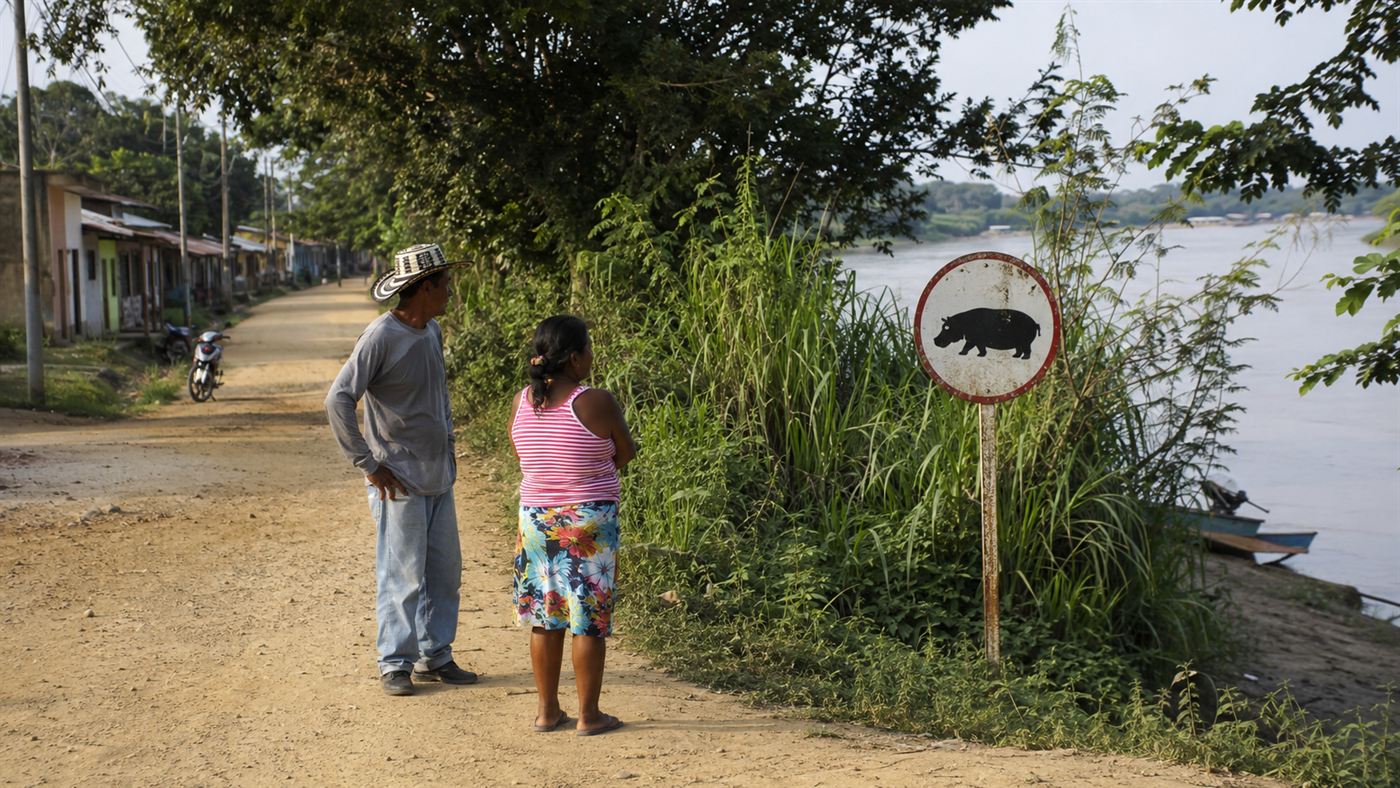 A hippo warning sign at the edge of a rural Colombian river town with wary residents nearby