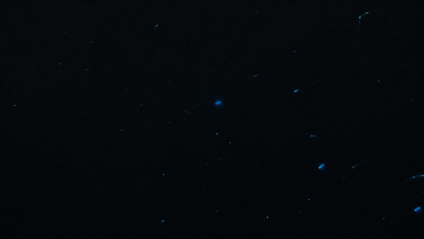 The pitch-black water of the deep sea scattered with faint points of blue bioluminescent light