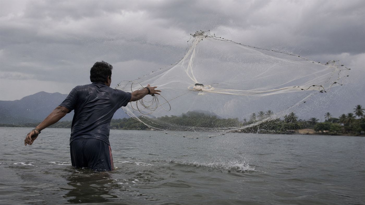 A fisherman throwing a circular cast net into the lagoon at Laguna at the dolphins' signal