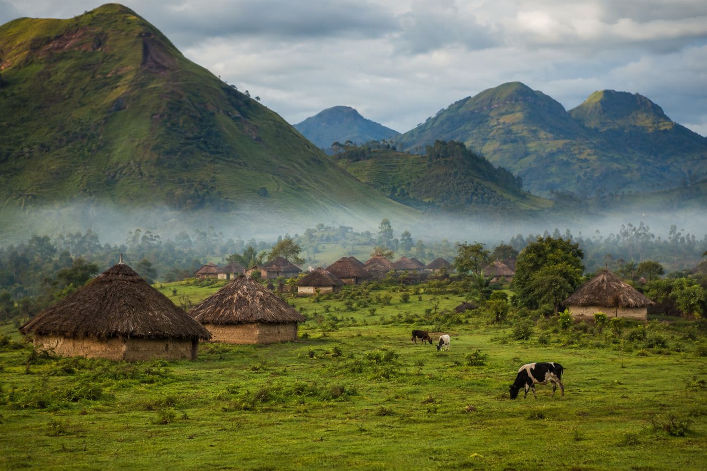Remote village in a valley below volcanic hills in Cameroon highlands, thatched roof homes, cattle in fields, early morning mist, peaceful rural landscape