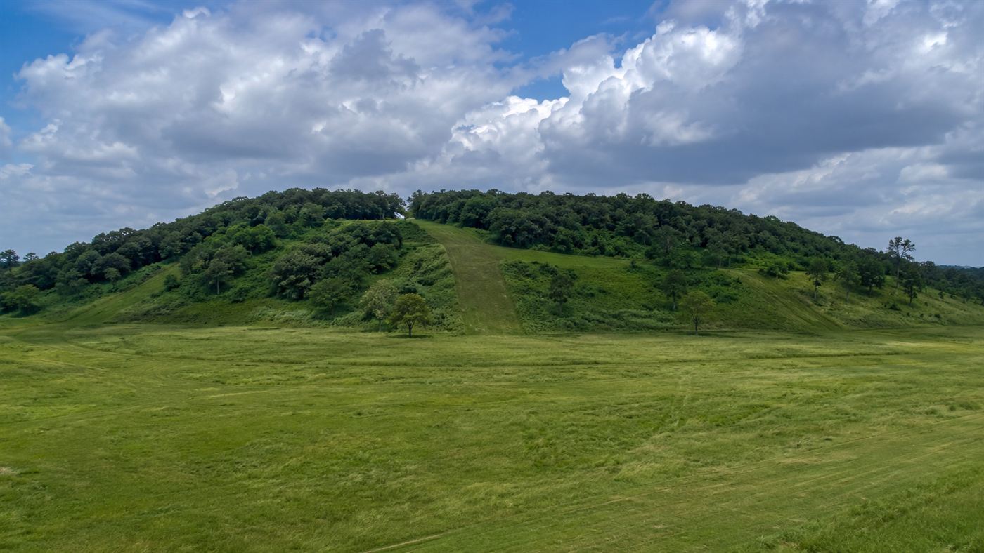 The large forested bird-shaped Mound A at Poverty Point rising above the flat green Louisiana ground