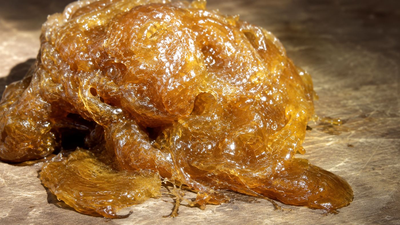 A gummy amber-brown mass of sticky raw natural rubber sagging and melting on a warm surface