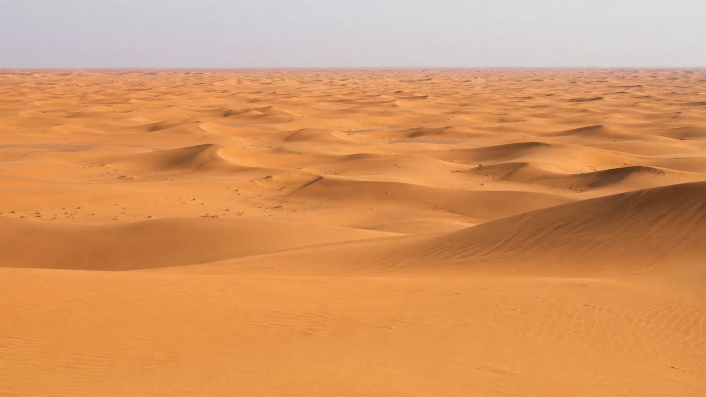 An endless expanse of empty rolling Sahara desert dunes under a pale sky, the vast emptiness the crew tried to cross