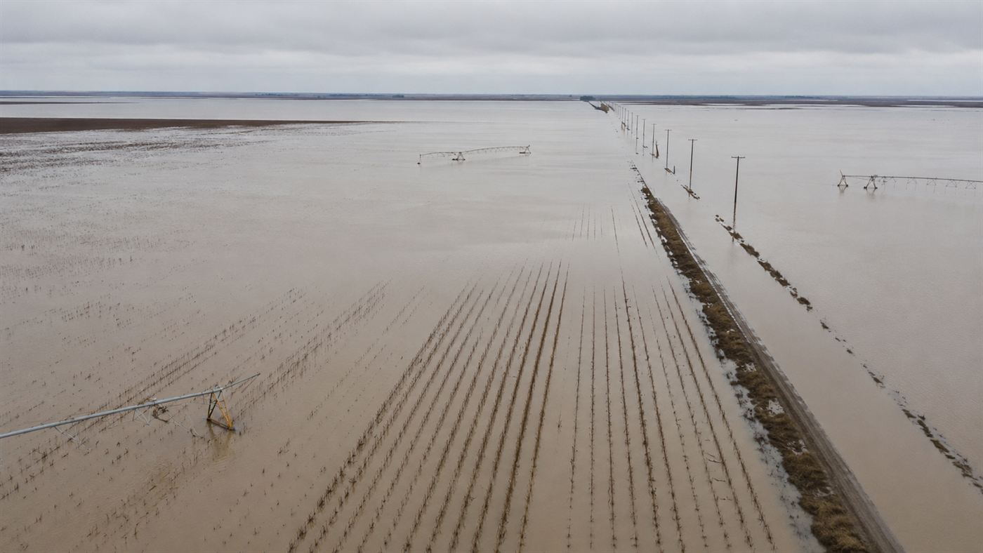 Central Valley flooding submerges rows of California cotton fields with a farm road and power poles vanishing into brown water