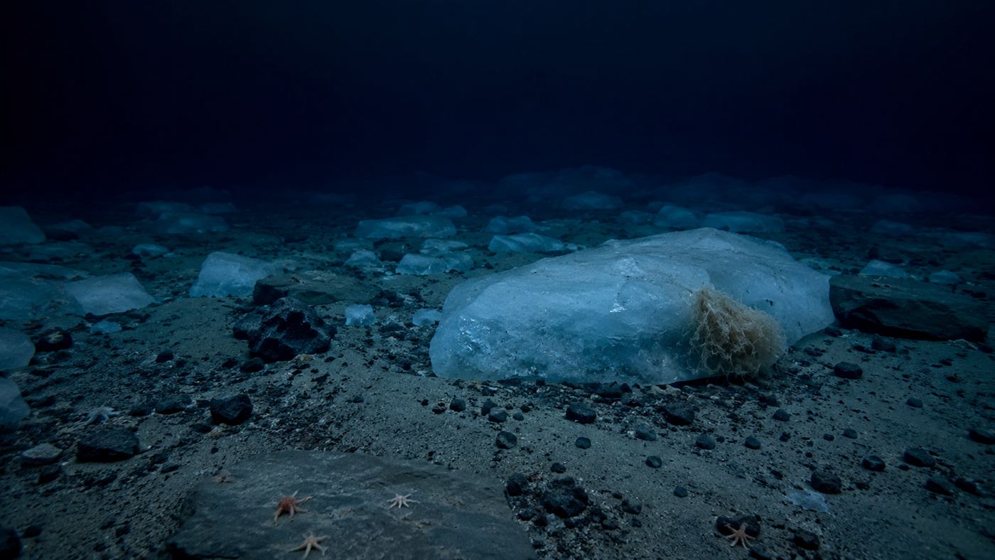 The cold dark Antarctic seafloor with scattered ice and rocks in deep blue frigid water