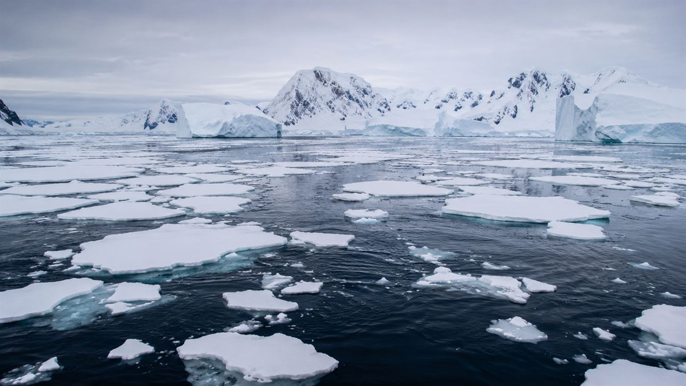 The Antarctic ocean surface with floating pack ice and icebergs under a pale cold sky