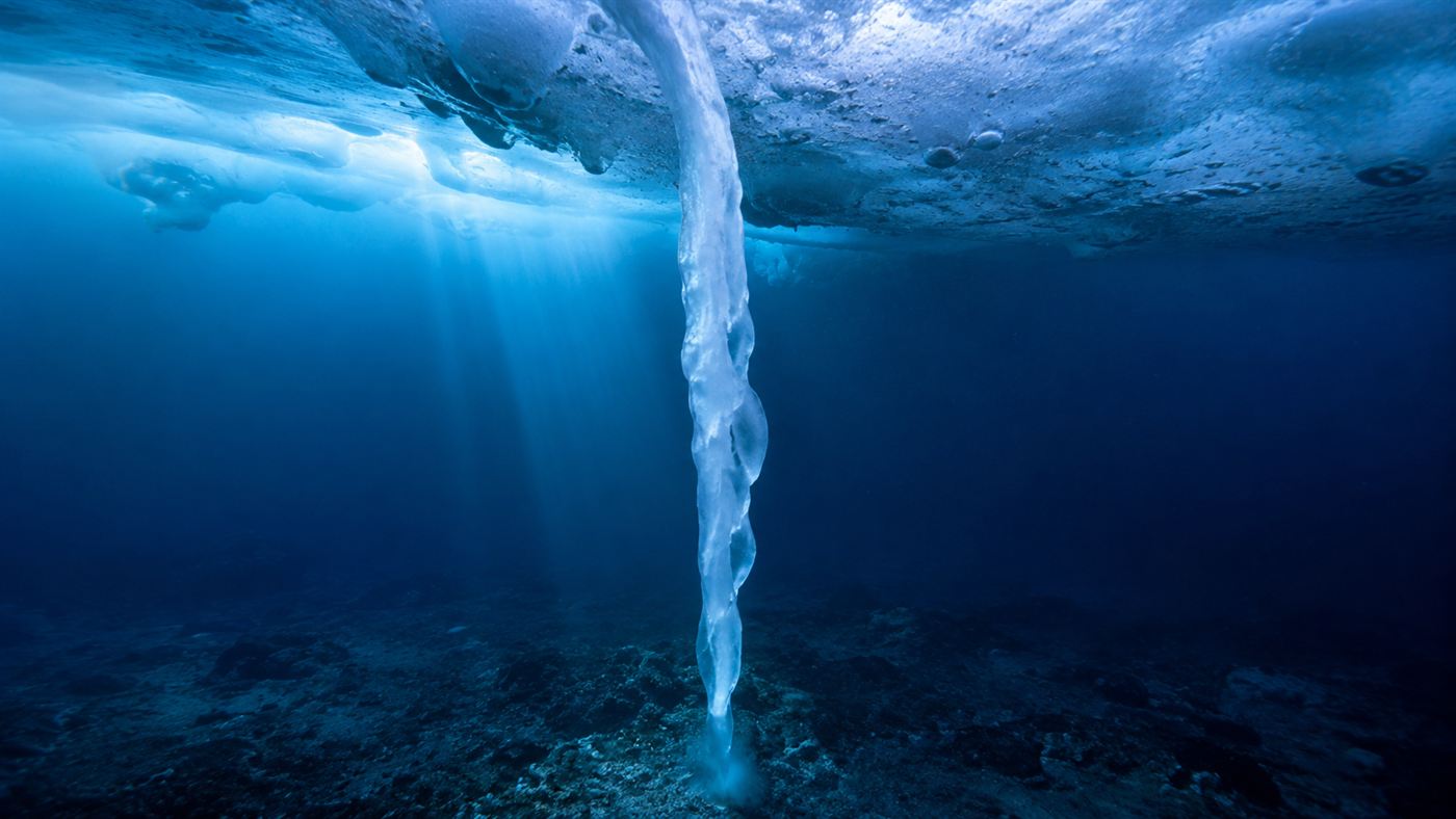A hollow tube of ice, a brinicle, hanging down from the underside of Antarctic sea ice into dark blue water