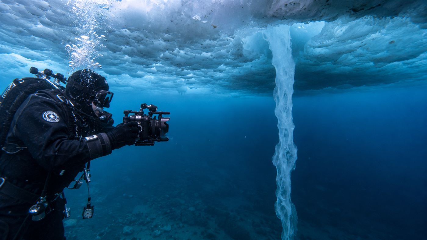 A diver with an underwater camera filming a brinicle forming beneath the Antarctic sea ice in cold blue light