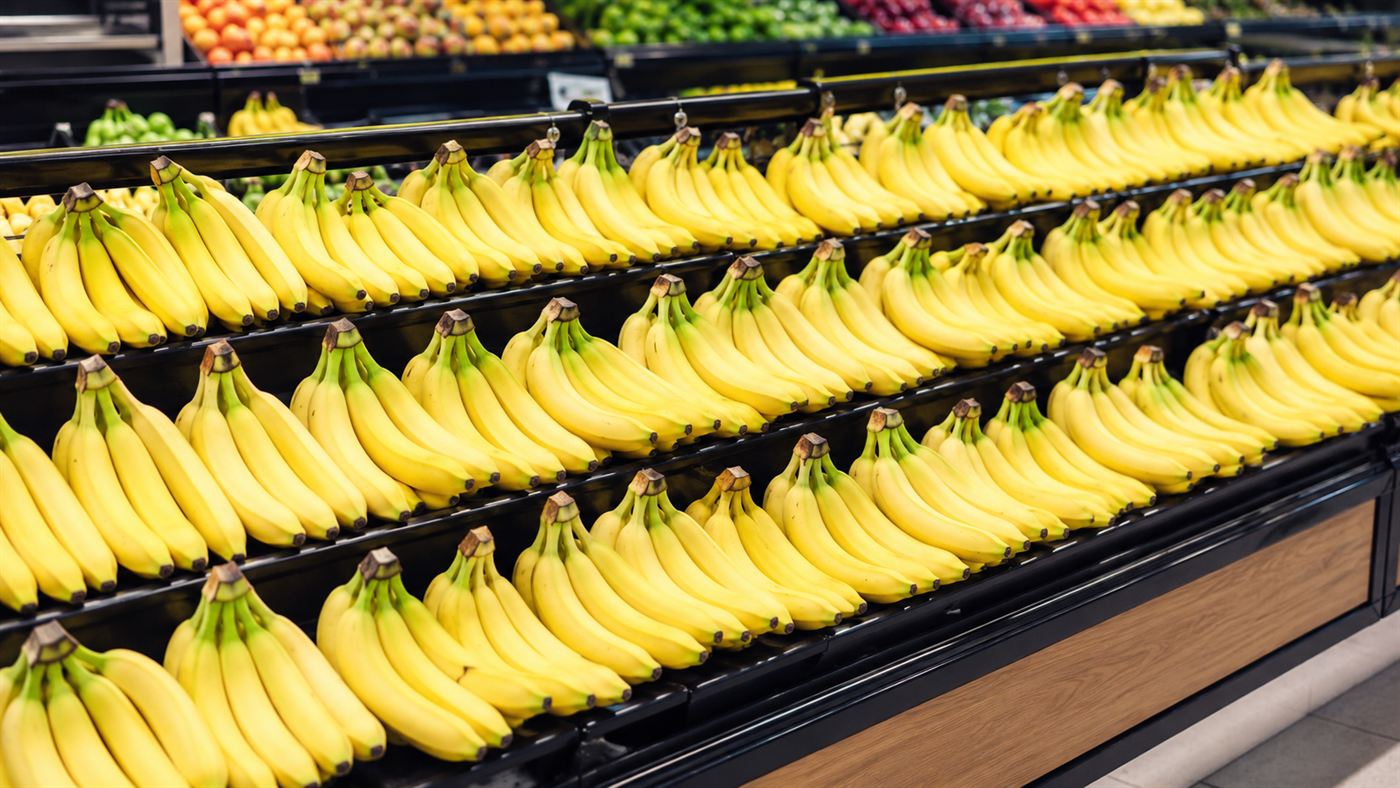 A supermarket display of identical bright yellow Cavendish bananas stacked in rows