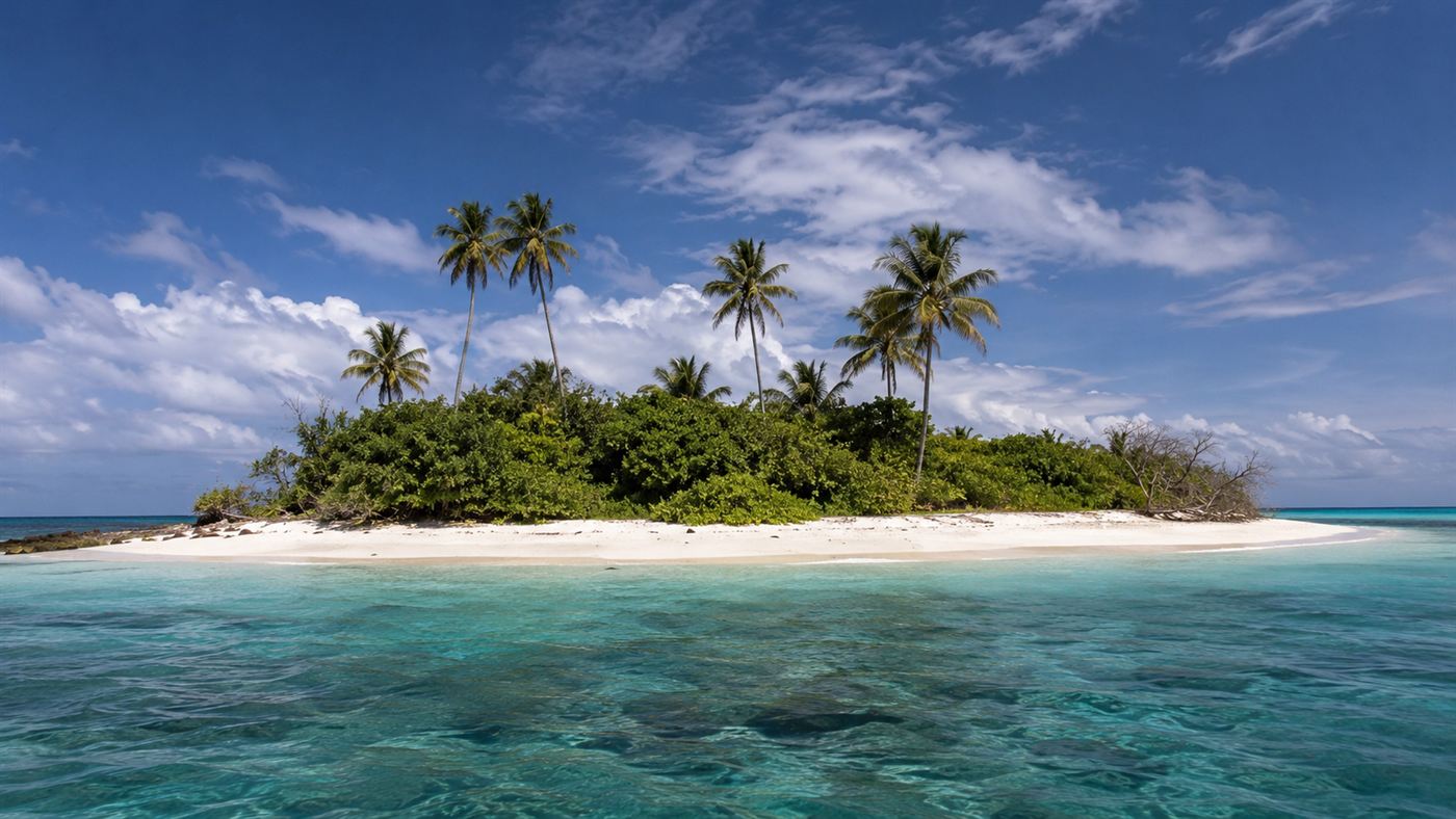 A remote uninhabited tropical Pacific coral island with palms and scrub, the kind of island coconut crabs dominate