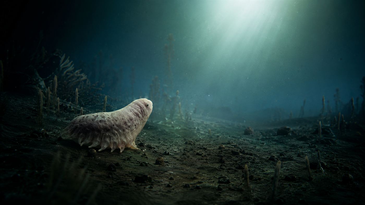 A small soft-bodied early animal on a dim seafloor turning toward a shaft of light from above
