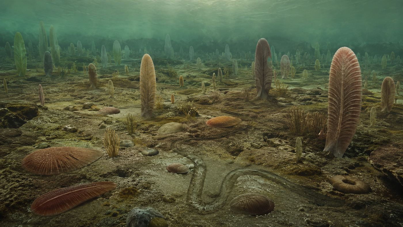 An ancient Ediacaran seabed with soft-bodied organisms and faint trails from animals living before the Cambrian explosion