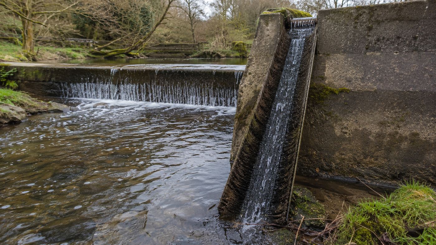 An eel pass, a narrow wetted brush ramp, fixed to the face of a concrete weir over a river, with a small trickle of water guiding migrating glass eels upward