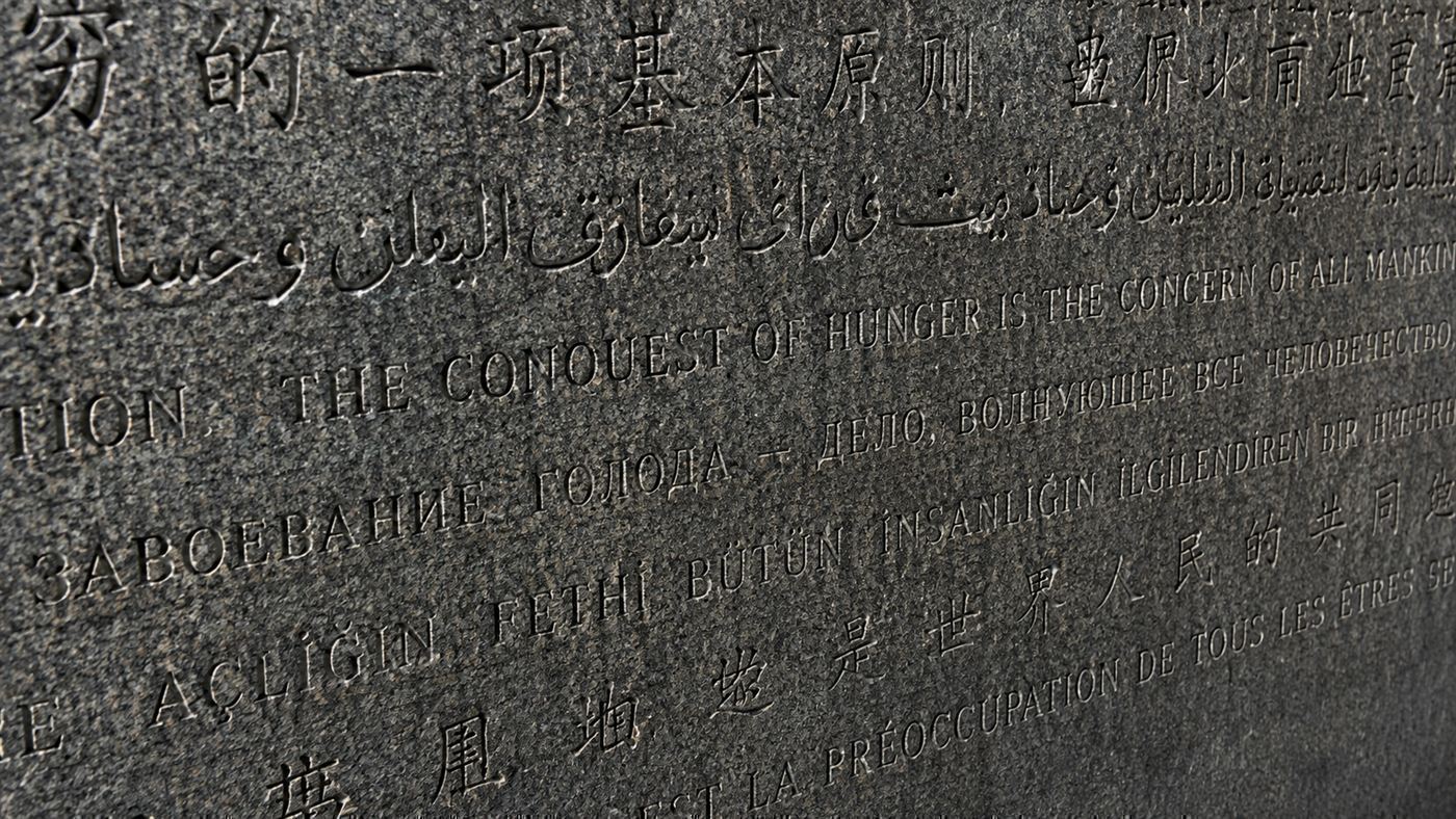 A close view of a granite slab from the Georgia Guidestones engraved with rows of text in several different alphabets