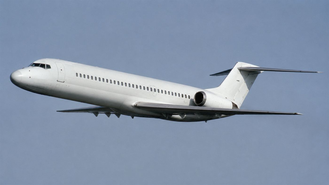 A 1970s twin-engine DC-9 airliner in flight against a pale sky, the type of plane Vesna Vulovic was working on