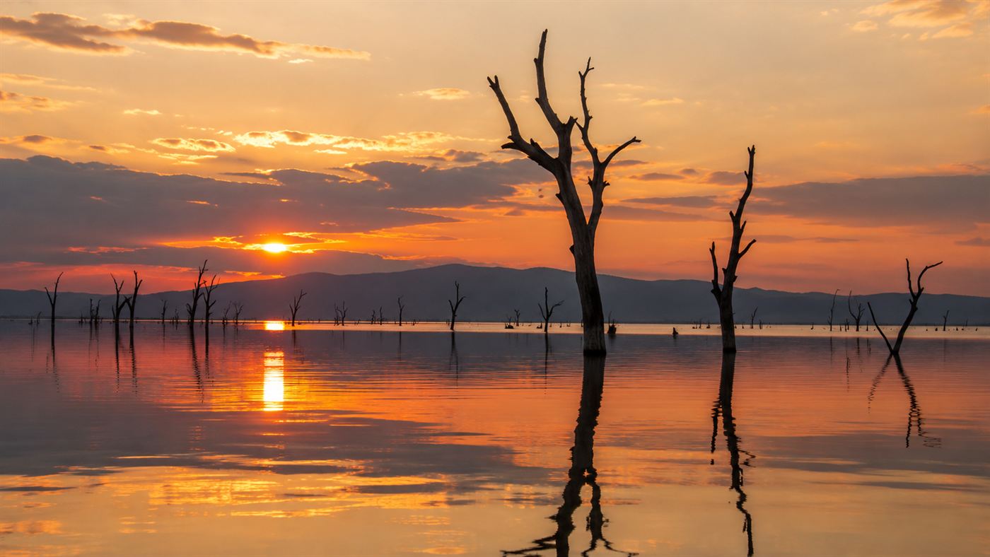 The vast calm expanse of Lake Kariba at sunset, with the bare trunks of drowned trees rising from the water