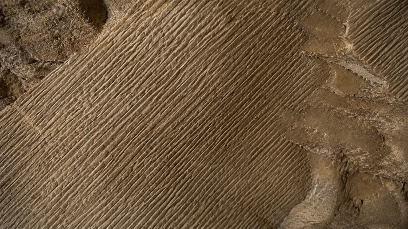 A close-up of a Longyou Caves wall covered in precise parallel chisel marks forming a uniform texture