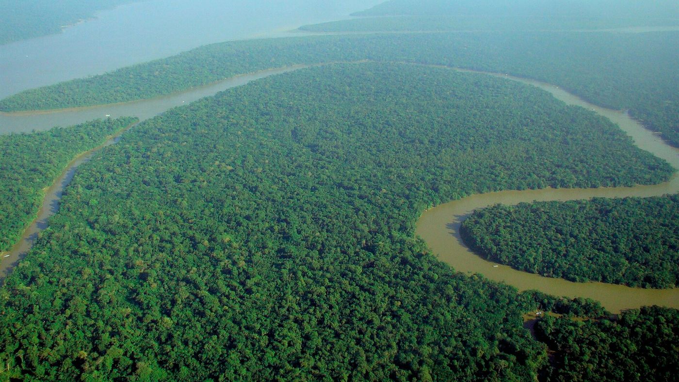 Floresta amazônica vista do alto, um dos estados brasileiros com menos registros de biodiversidade por área no GBIF