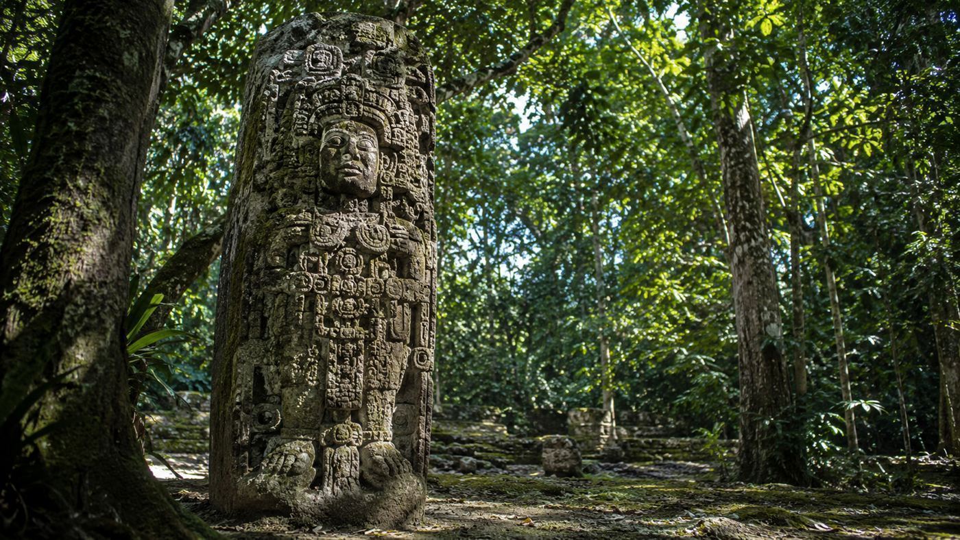 A weathered carved Maya stone monument covered in hieroglyphs standing in the jungle