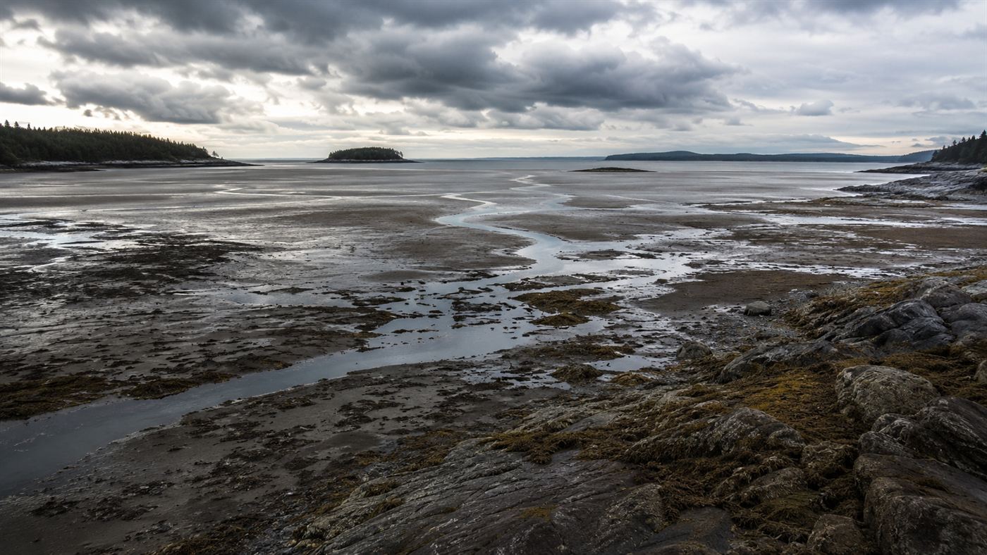 The wide waters of Passamaquoddy Bay on the Maine coast at low tide