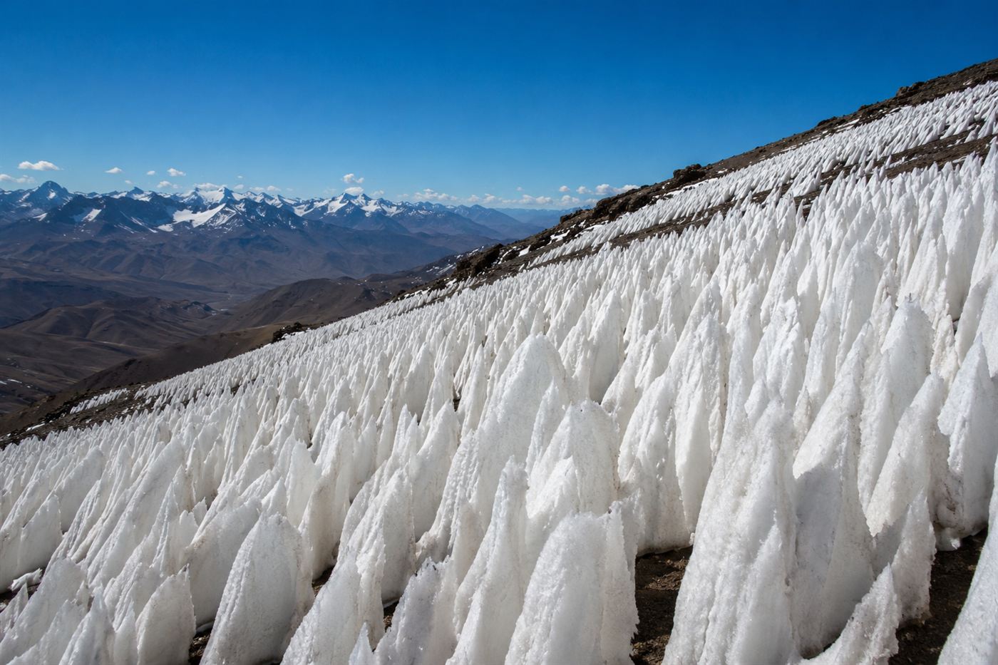 A field of tall thin leaning blades of white ice, penitentes, on a high sunlit Andean mountainside under a deep blue sky