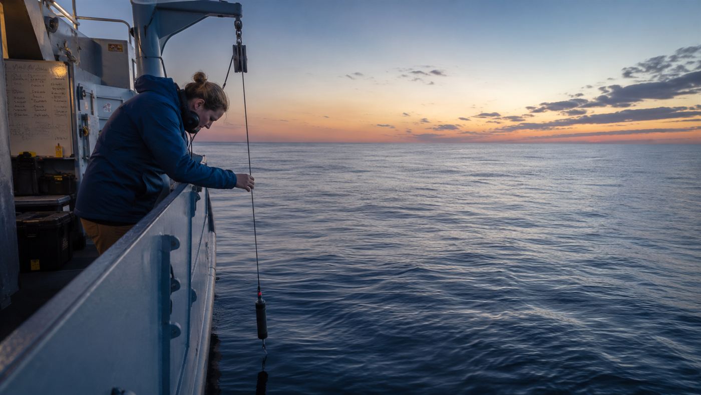 A scientist on a marine research vessel lowering a hydrophone into calm ocean water at first light to record whale song