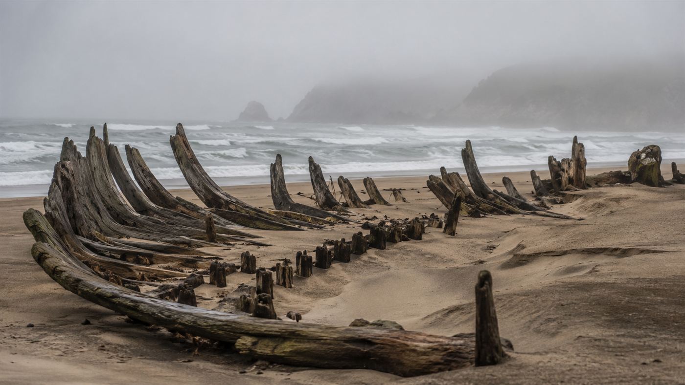 The weathered wooden ribs of an old shipwreck half-buried in sand on a foggy beach, part of the Graveyard of the Atlantic