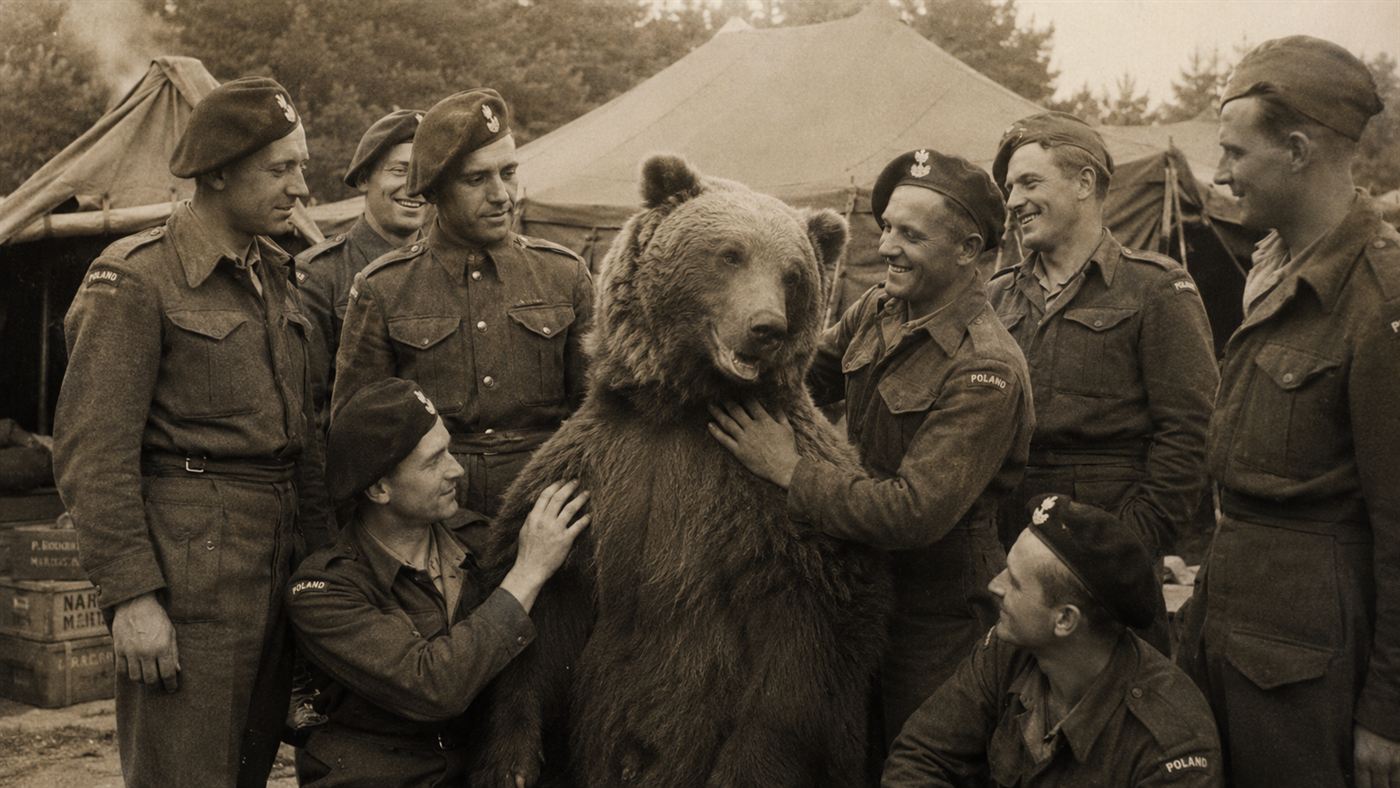 Wojtek the bear, a large brown bear standing among Polish soldiers in a WWII army camp