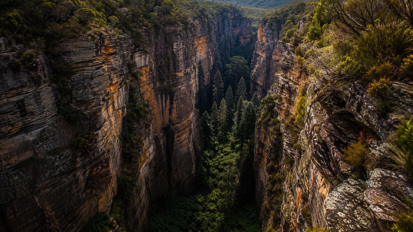 A deep narrow sandstone canyon with a small hidden grove of dark green pine trees on the floor, lush and shadowed