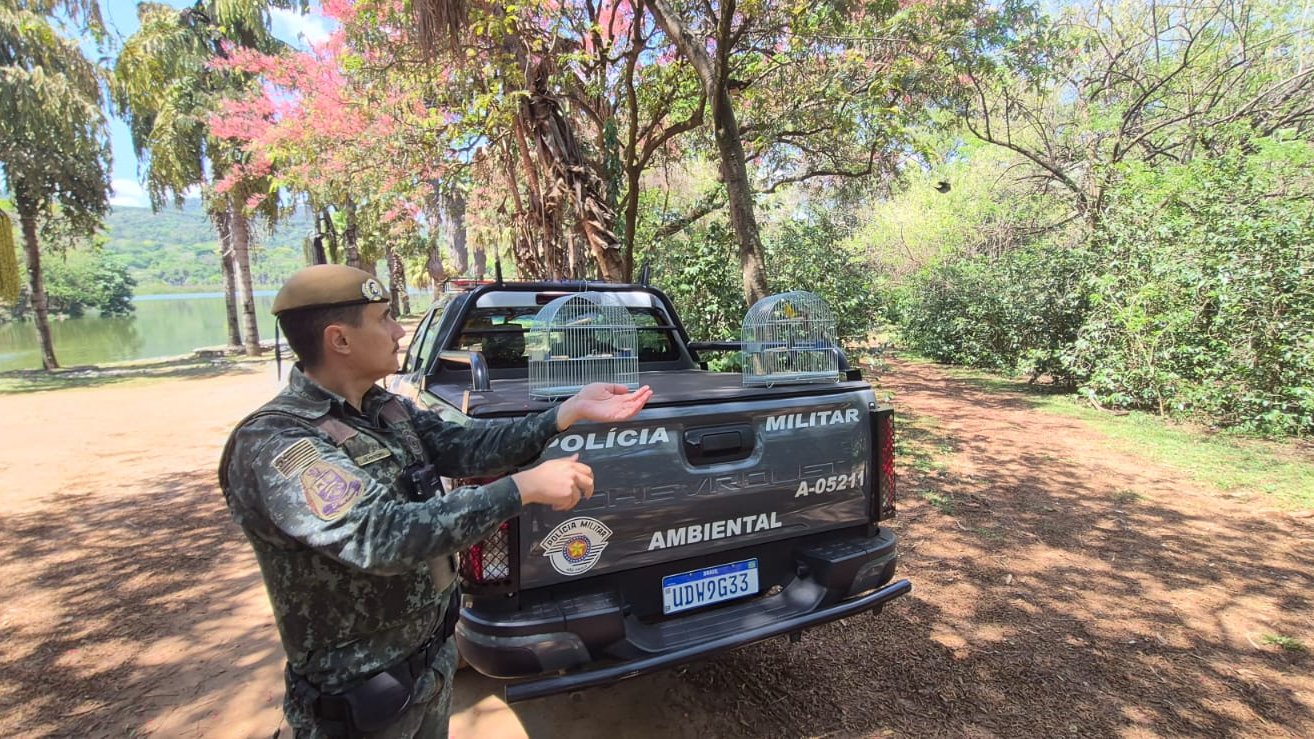 Policial militar ambiental aponta duas gaiolas sobre a viatura A-05211, da equipe que atendeu o caso das aves silvestres levadas em caixas num ônibus em Aguaí
