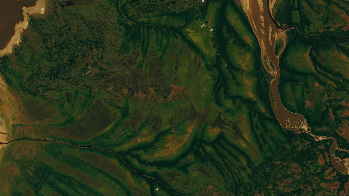 Detalhe da imagem de satélite com veios verdes escuros de vegetação ao longo de riachos, cercados por turfeiras mais claras, perto da Baía Rupert