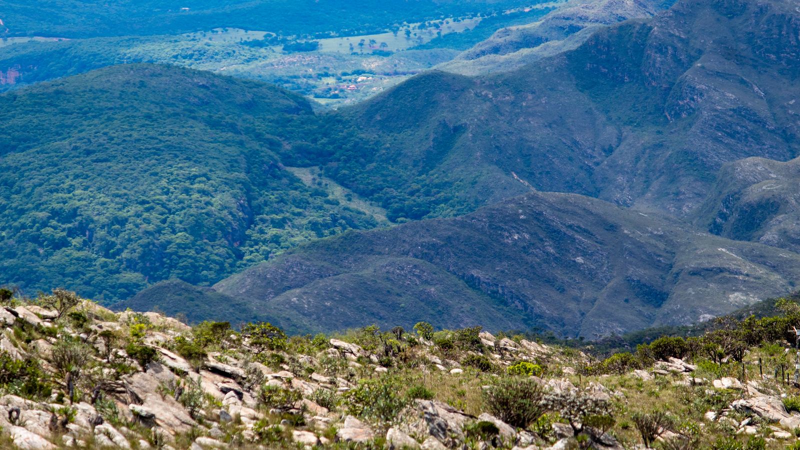 Paisagem de cerrado em Minas Gerais, com arbustos de folhas verdes entre rochas claras no primeiro plano e serras cobertas de mata ao fundo