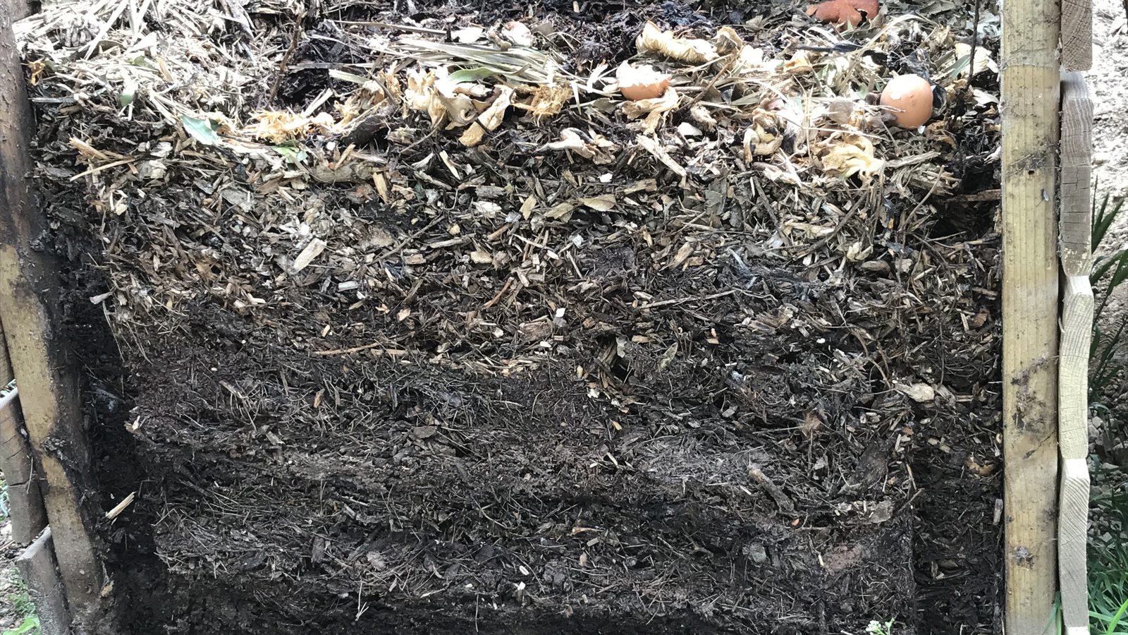 Corte de uma composteira de madeira mostrando camadas de compostagem caseira, com cascas de ovo em cima e adubo escuro embaixo
