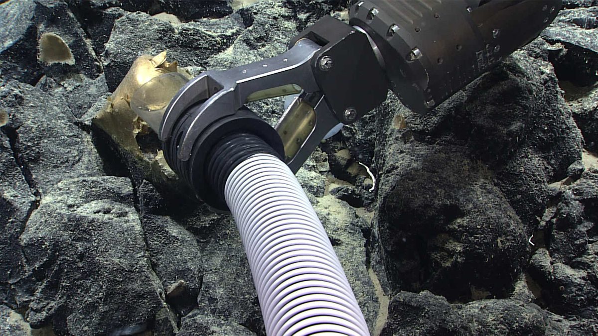 Braço robótico do ROV Deep Discoverer com mangueira de sucção sobre a esfera dourada presa a rochas escuras no fundo do mar do Alasca