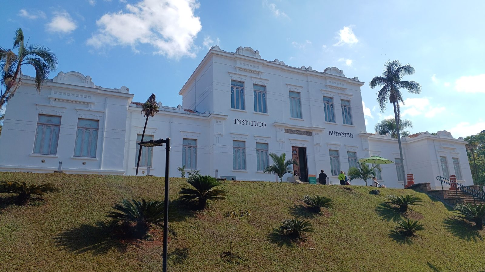 Instituto Butantan exportou 3.770 frascos de soro em 2025: fachada branca da sede, em São Paulo