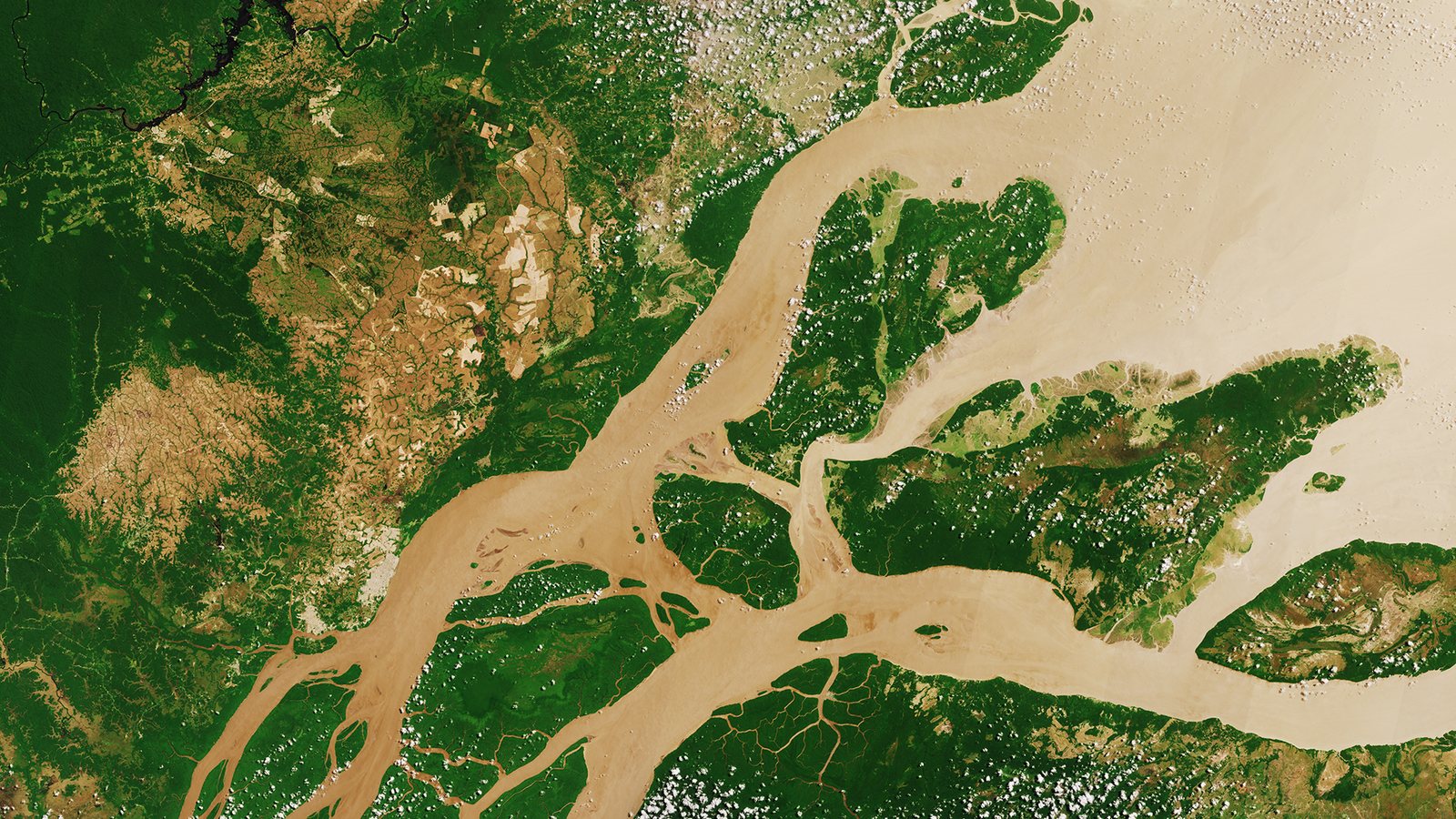 Imagem de satélite da foz do rio Amazonas, com rios marrons entre a mata verde e clareiras abertas, nas florestas tropicais do Brasil