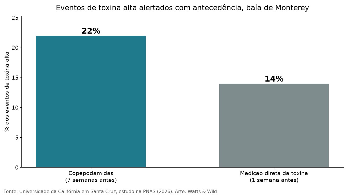 Gráfico comparando 22% dos eventos de toxina alta alertados sete semanas antes pelas copepodamidas contra 14% uma semana antes pela medição direta