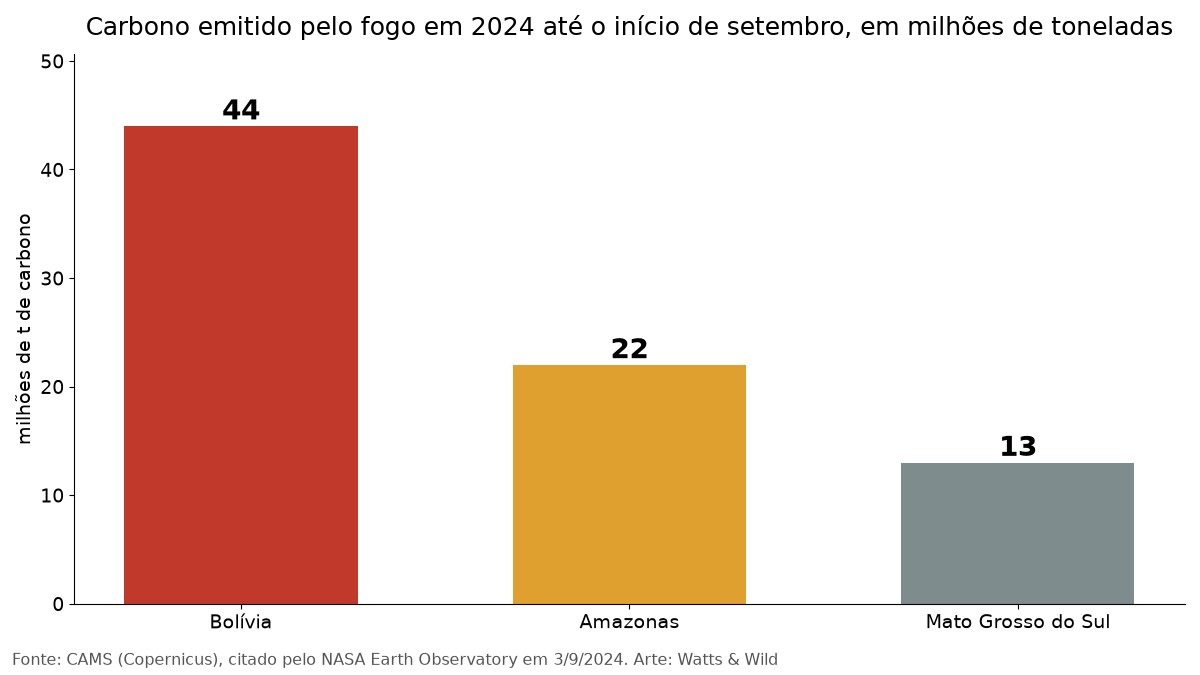Gráfico de barras com o carbono emitido pelo fogo em 2024: 44 milhões de toneladas na Bolívia, 22 no Amazonas e 13 em Mato Grosso do Sul