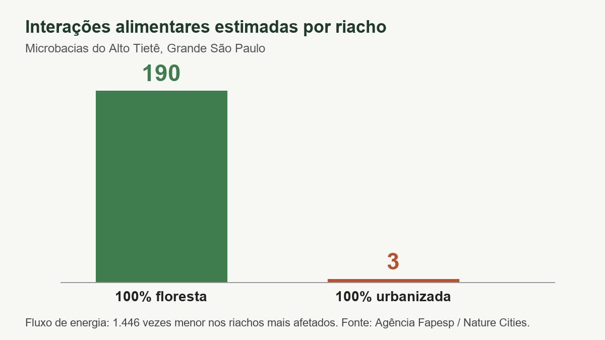 Gráfico de duas barras: 190 interações alimentares estimadas em microbacias totalmente florestadas e 3 em microbacias totalmente urbanizadas
