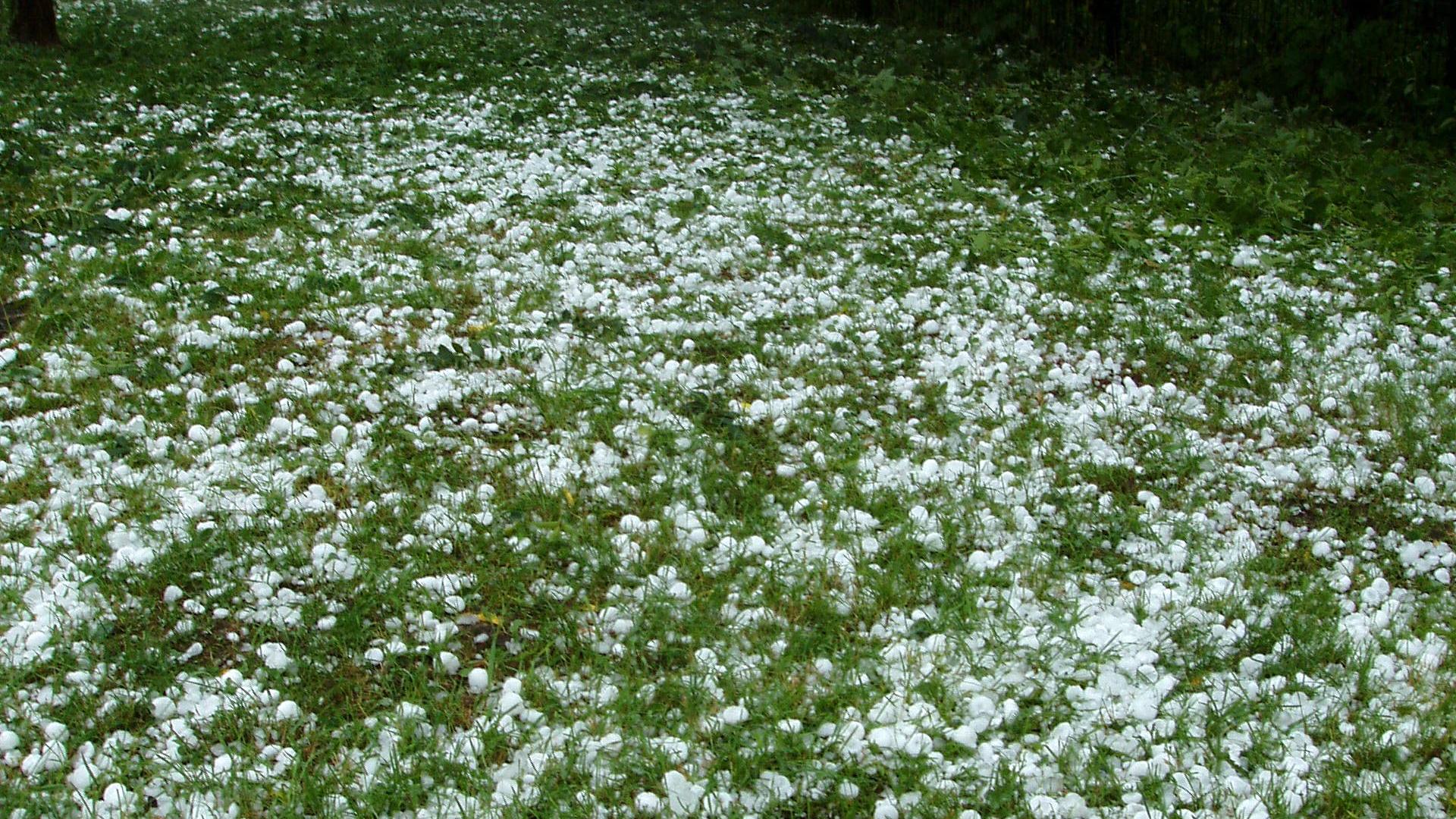 Gramado coberto de pedras de granizo brancas, foto de arquivo usada para ilustrar o alerta laranja do Inmet para o Sul na sexta