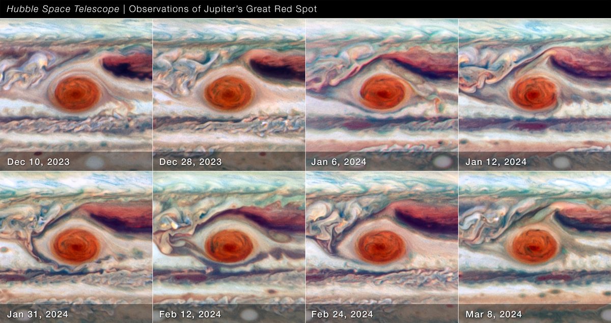 Oito quadros do Hubble com a Grande Mancha Vermelha de Júpiter, de 10 de dezembro de 2023 a 8 de março de 2024